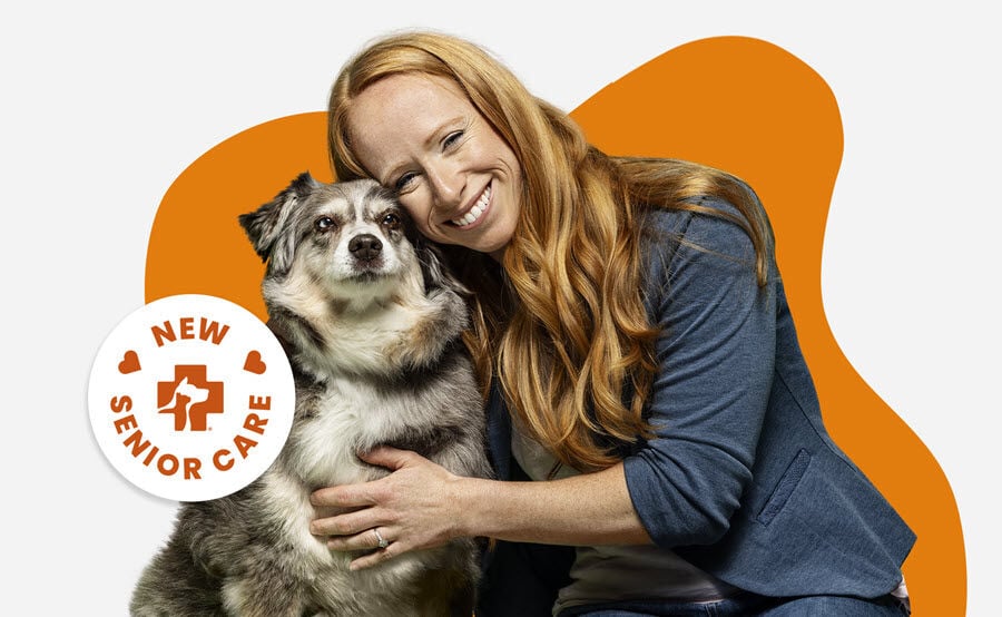 image of a woman next to an older dog