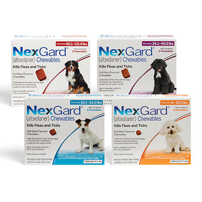 Nexgard chews 2025