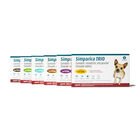 Simparica Trio®&nbsp;Chewables for dogs