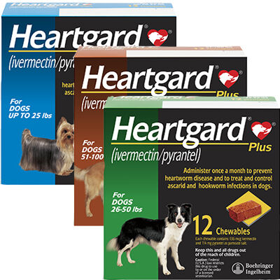 Heartgard for dogs without vet 2025 prescription