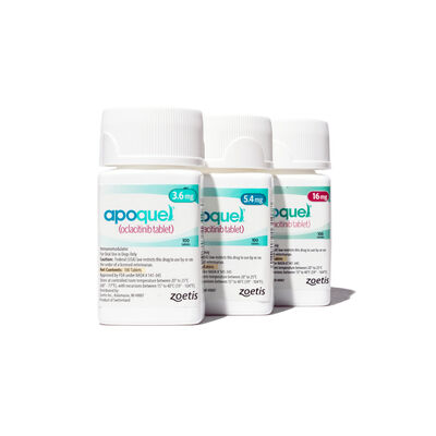 Apoquel Tablets for Dogs