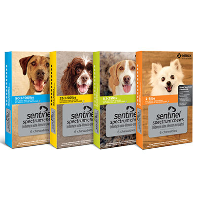 Banfield Shop Sentinel Spectrum Chewables