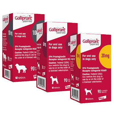Galliprant for dogs 60 hot sale mg