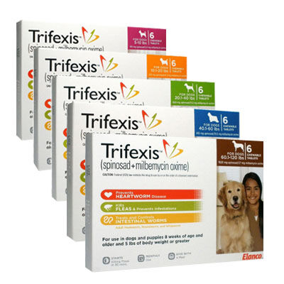 Allivet trifexis shop