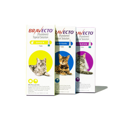 Bravecto® Topical for Cats