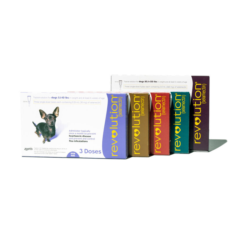 Revolution® Canine image number NaN