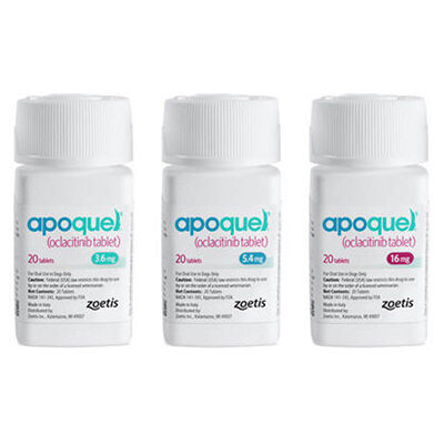 Banfield Shop Apoquel Tablets for Dogs