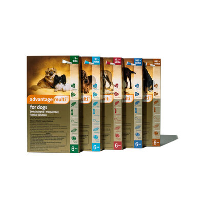 Advantage Multi® Topical Solution for Dogs