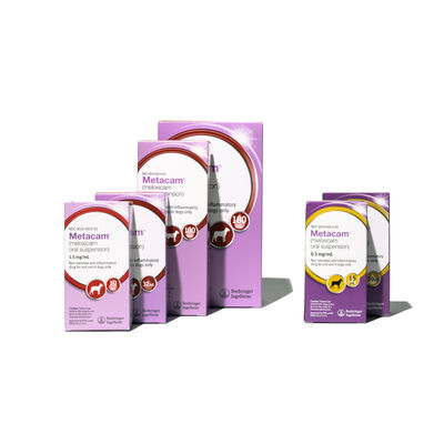 Metacam® Oral Suspension